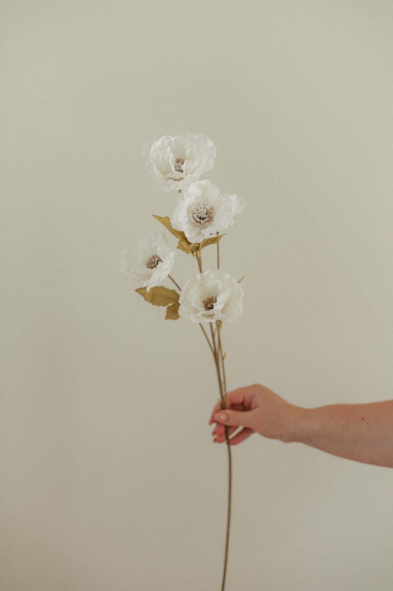 2D5C2009 Large Poppy Stem - Image 1