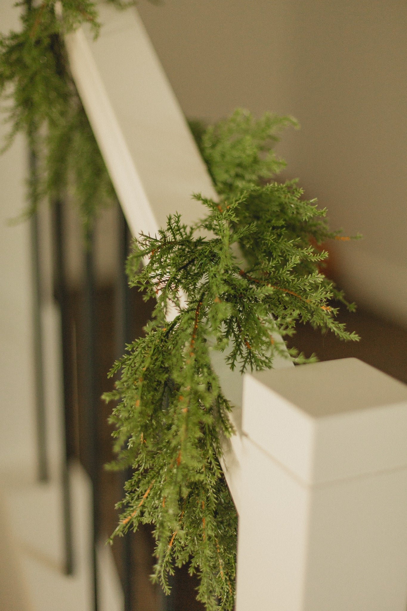 2D5C3212 Cedar Garlands - Image 1