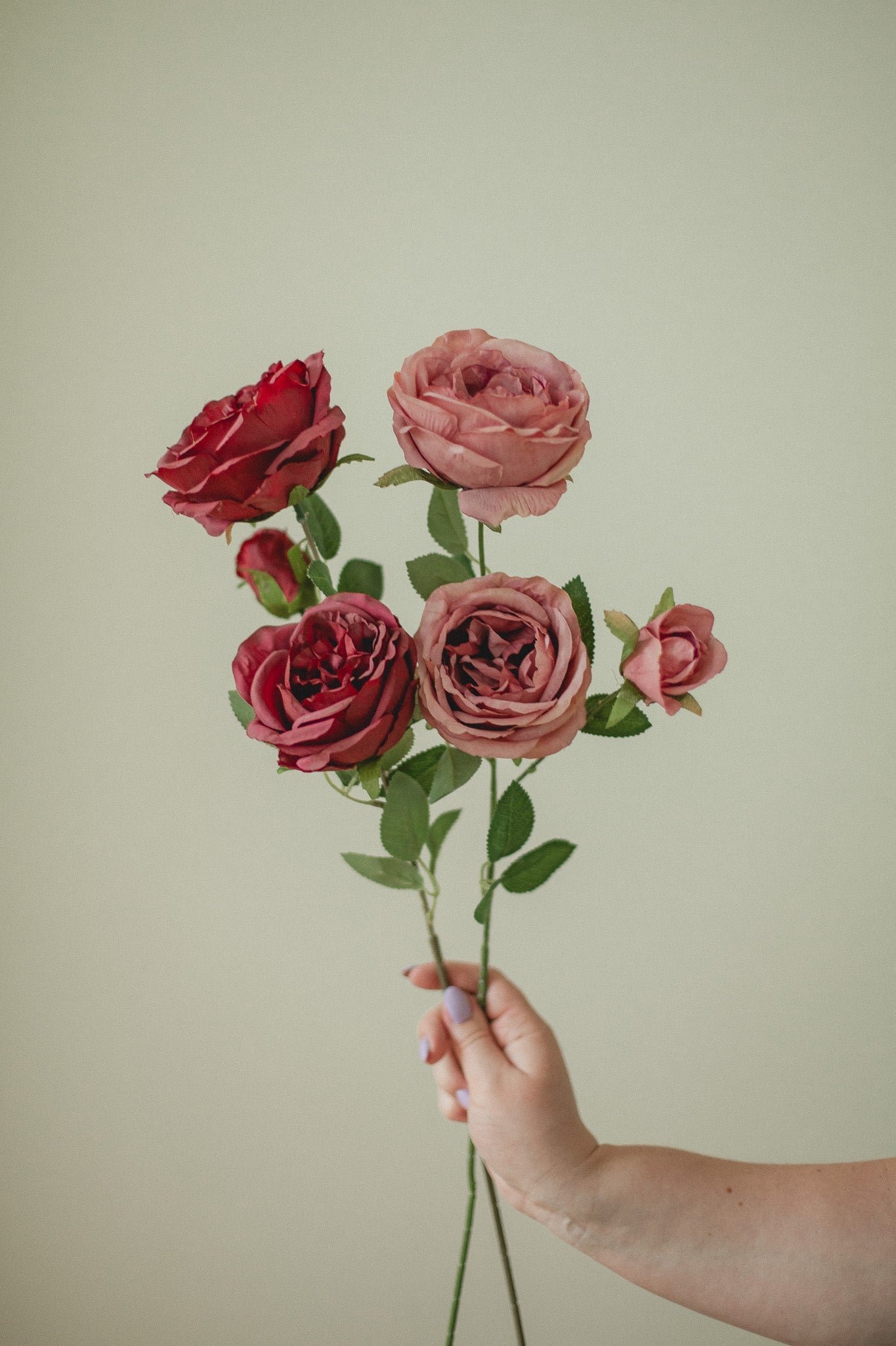 2D5C4589 Large Rose Stem - Image 1