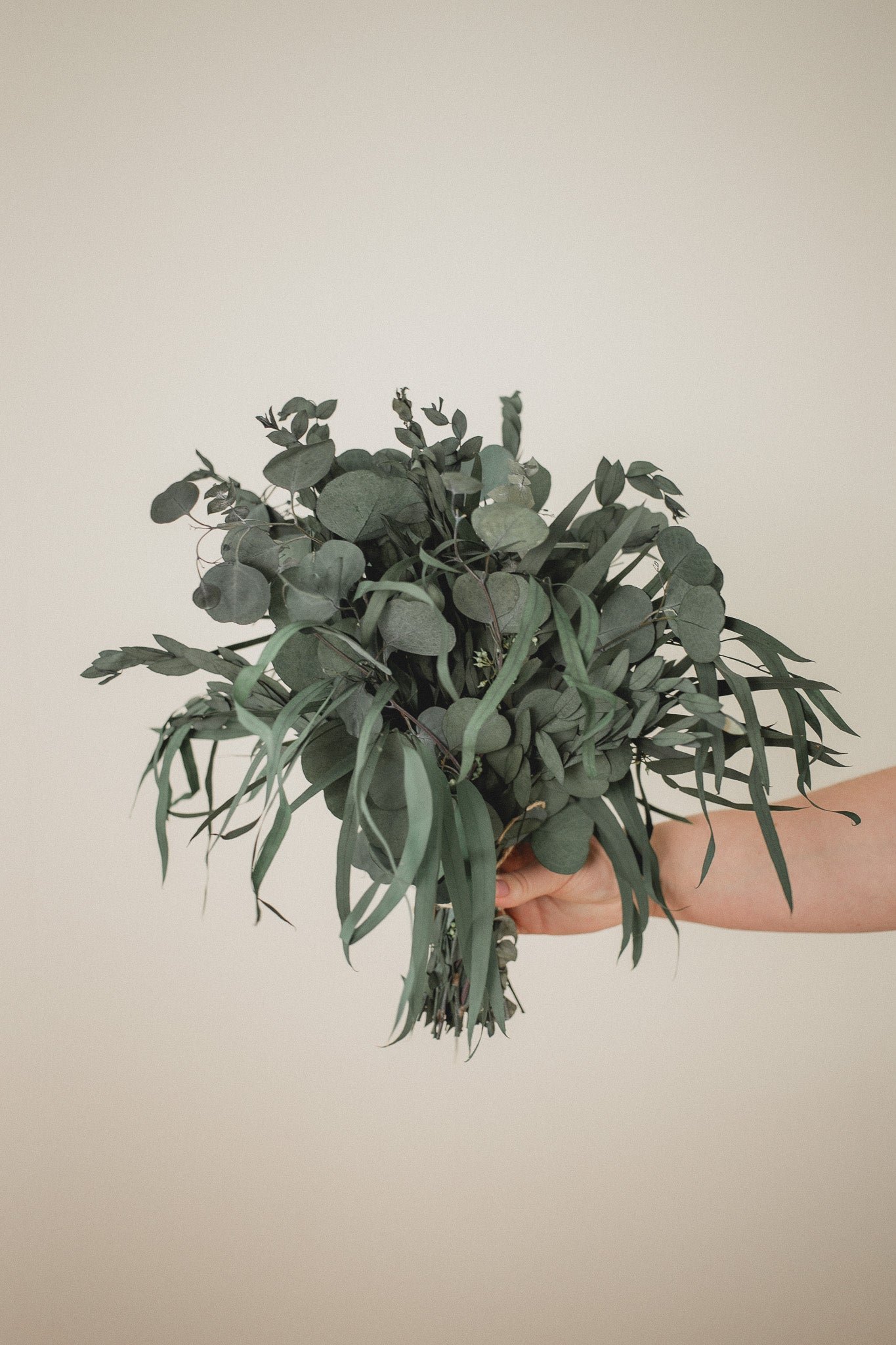 2D5C7679 Preserved Eucalyptus Arrangement - Image 1