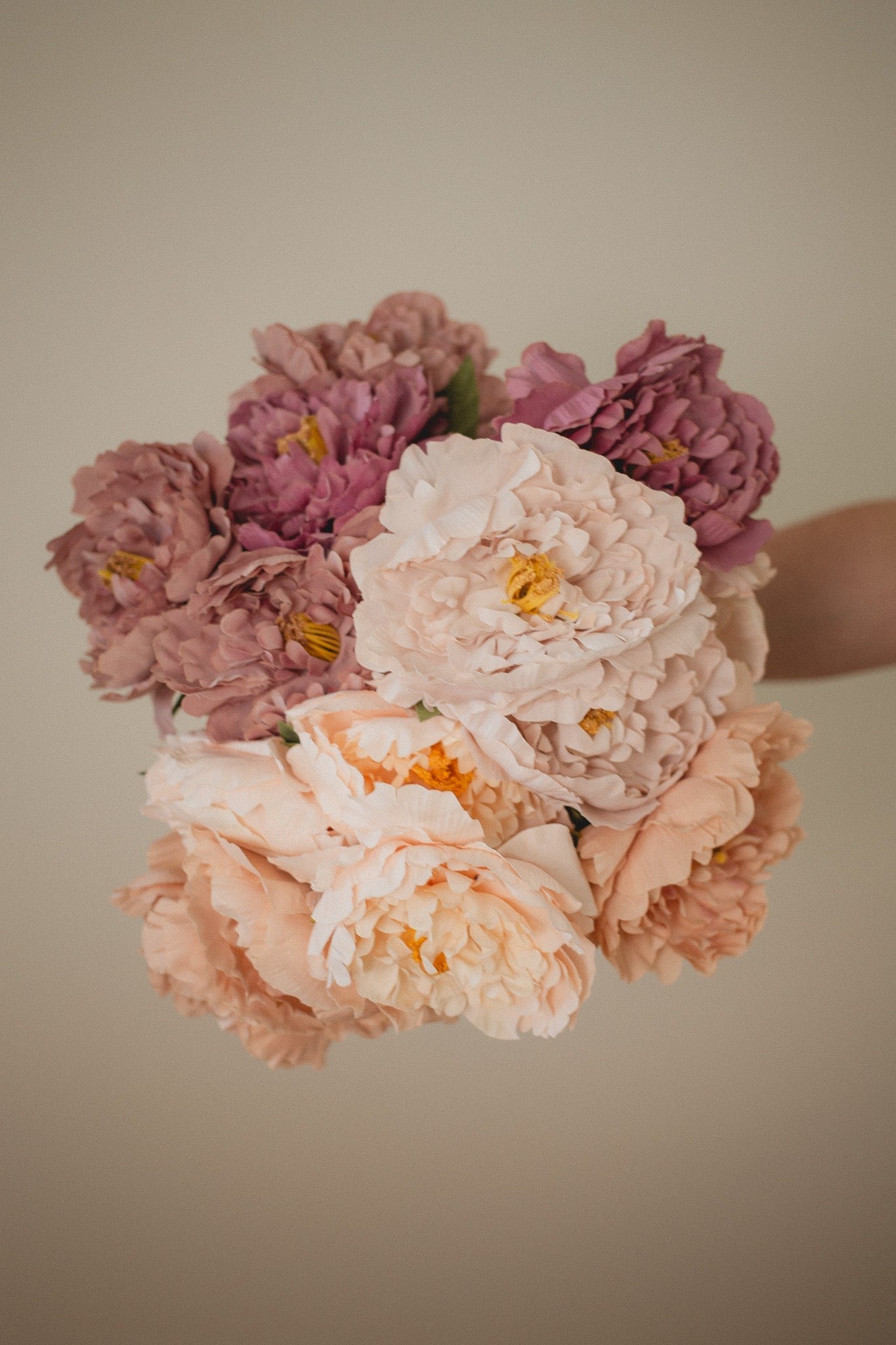 2D5C7949 London Peony - Image 1