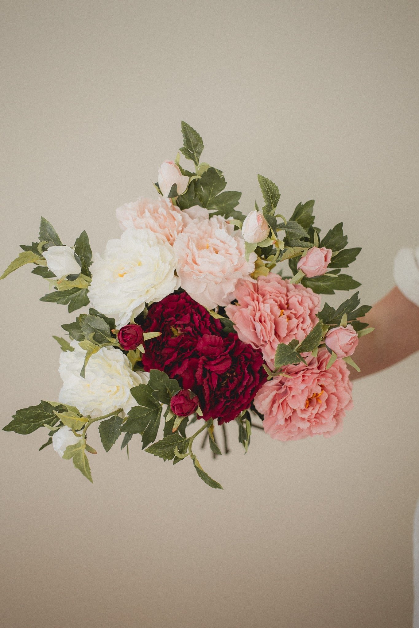2D5C8038 Mountain Peony - Image 1